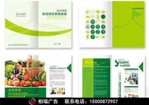 奉賢區(qū)宣傳冊(cè)、產(chǎn)品手冊(cè)、畫冊(cè)及三折頁(yè)設(shè)計(jì)制作一站式服務(wù)